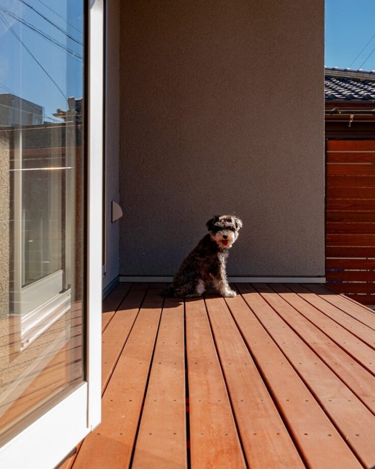 愛犬と暮らす家