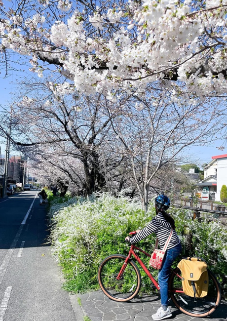 山崎川をサイクリング