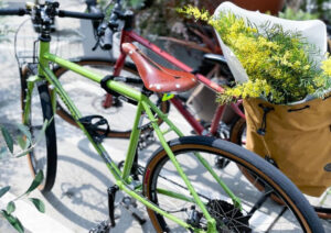 ミモザと自転車